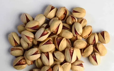 تصویر 3 از پسته اکبری صادراتی با سورت‌ بندی دقیق و یکدست